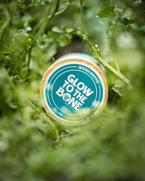 Signature Blend Infused Whipped Tallow